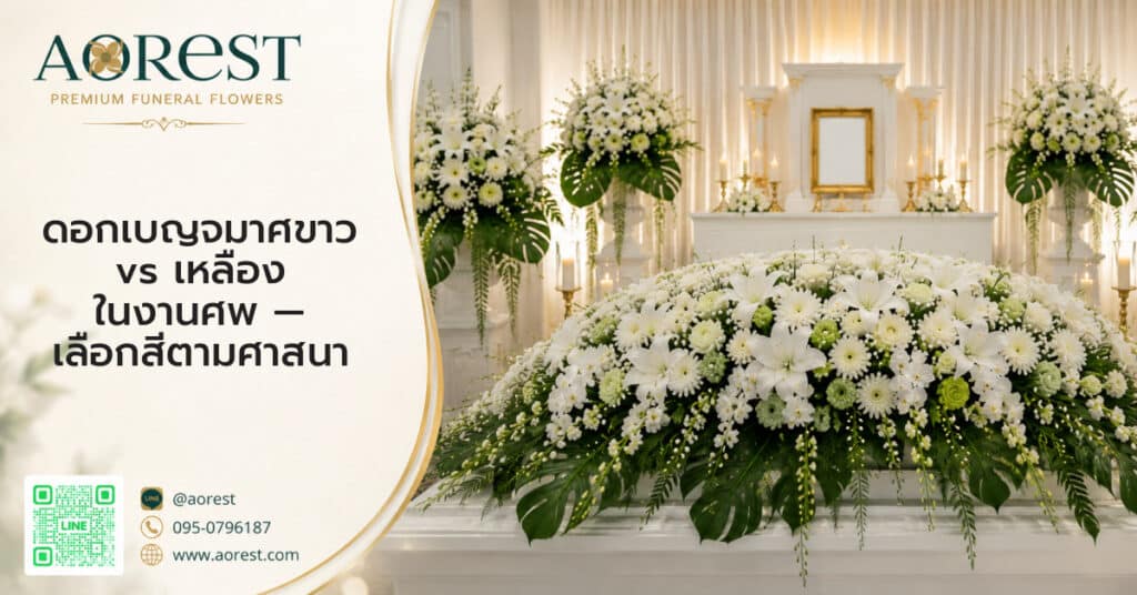 ดอกเบญจมาศขาว vs เหลือง ในงานศพ — เลือกสีตามศาสนา