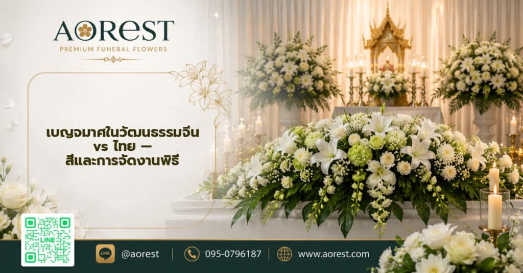 เบญจมาศในวัฒนธรรมจีน vs ไทย — สีและการจัดงานพิธี
