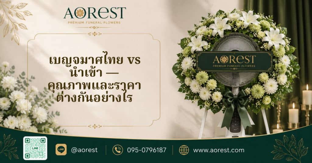 เบญจมาศไทย vs นำเข้า — คุณภาพและราคา ต่างกันอย่างไร